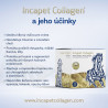 Incapet Collagen - kolagén pre psy s uterákom navyše