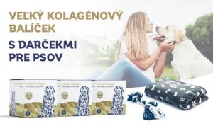 Kolagénový balíček pre psov s darčekmi