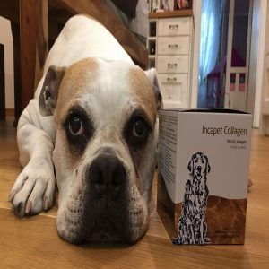 Lucka Valentovičová a Kira