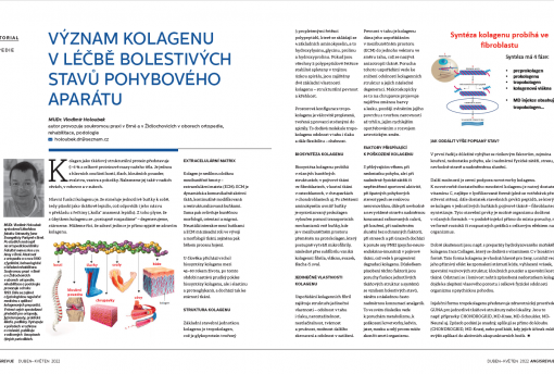 Význam kolagenu v léčbě bolestivých stavů pohybového aparátu