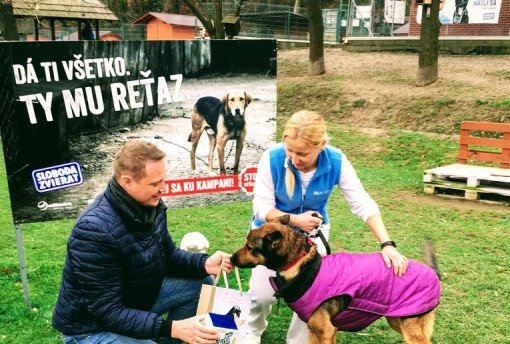 Príbehy zverencov v Slobode zvierat, ktorým Incapet Collagen pomohol a stále pomáha