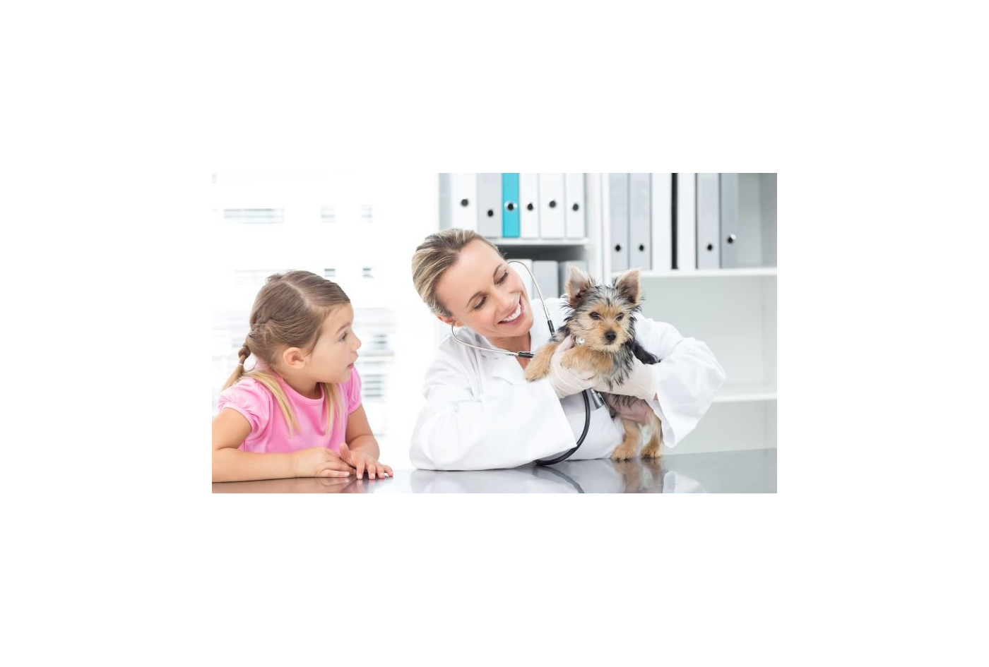 Čo vás čaká počas prvej návštevy veterinára?