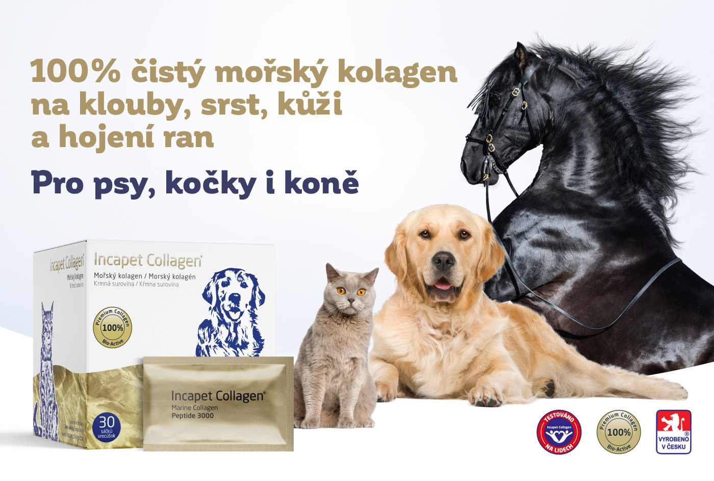 Incapet Collagen zvítězil v testu jako nejlepší kloubní výživa pro psy, kočky a koně